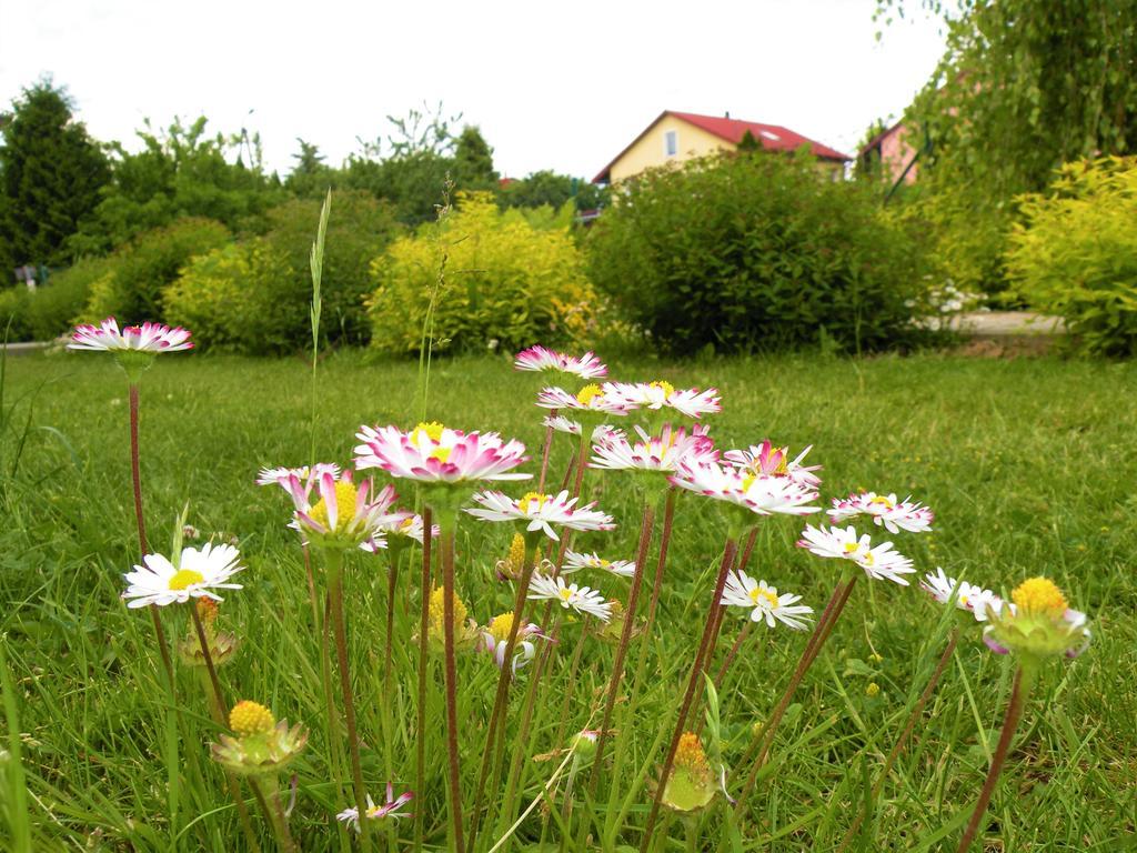 Pokoje Zabi Staw Mikołajki Ngoại thất bức ảnh